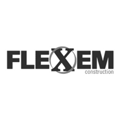 Flexem logo